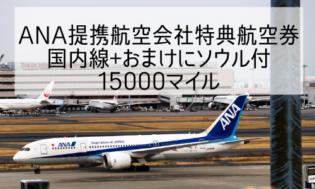 【ANA】提携航空会社特典航空券 国内線＋国際線ルート