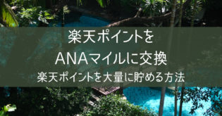 【楽天ポイントをANA・JALマイルに交換】楽天ポイントを大量に貯める方法