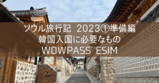 ソウル旅行記 2023① 準備編 韓国入国に必要なもの WOWPASS eSIMカード