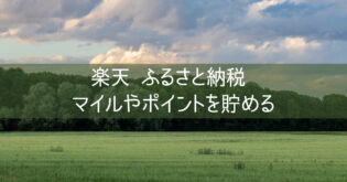 【楽天 ふるさと納税 やり方】ブログ マイルやポイントを貯める