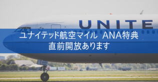 【ユナイテッド航空マイル ANA特典航空券 直前開放あります】国際線 開放スケジュール