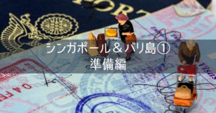 シンガポール＆バリ島 旅行記 2025年8月① 準備編