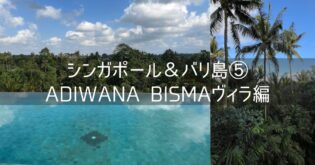 シンガポール＆バリ島 旅行記 2025年8月⑤ ADIWANA BISMA ウブドのヴィラ