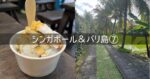 シンガポール＆バリ島 旅行記 2025年8月⑦ 3日目 ウブド観光 ココナッツアイス SPA
