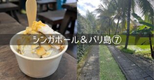 シンガポール＆バリ島 旅行記 2025年8月⑦ 3日目 ウブド観光 ココナッツアイス SPA