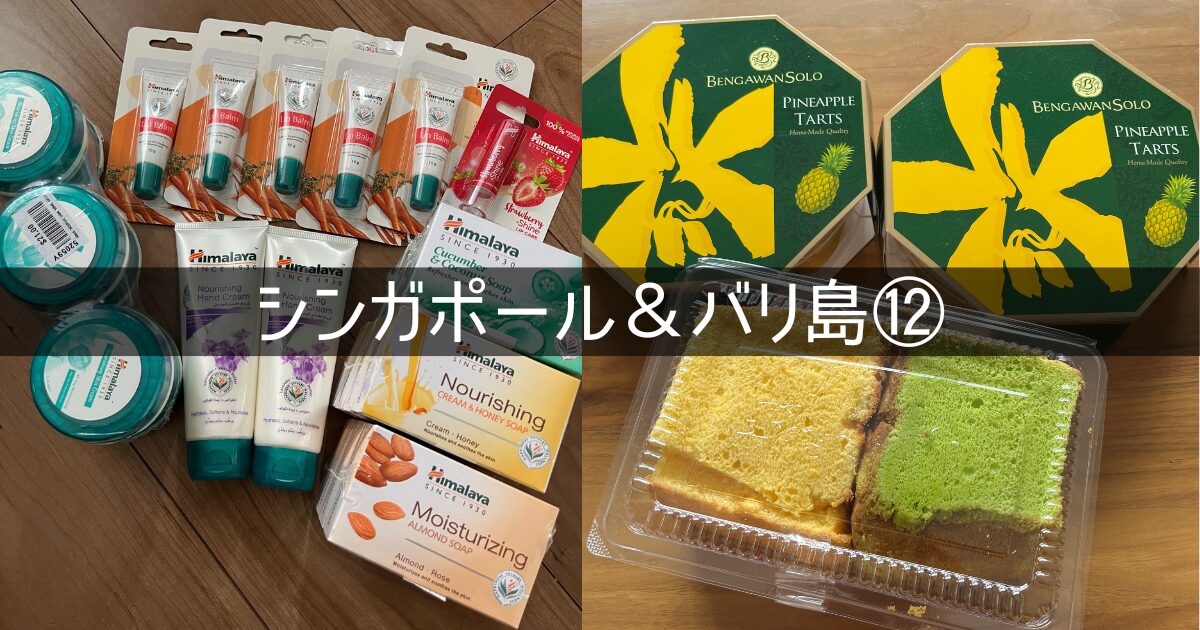 シンガポール&バリ島 旅行記 2025年8月⑫ お土産編