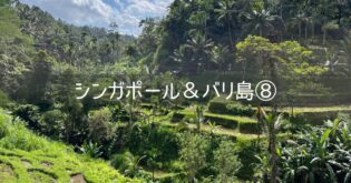 シンガポール＆バリ島 旅行記 2025年8月⑧ 4日目 ウブド観光 カーチャーター タマンアユン寺院