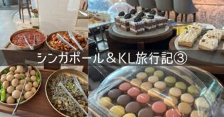 シンガポール＆クアラルンプール 旅行記 2026年3月③ 1日目 仁川空港 アシアナ シルバークリスラウンジ