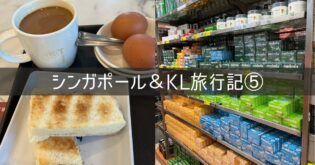 シンガポール＆クアラルンプール 旅行記 2026年3月⑤ 2日目 ムスタファセンター シティスクエアモール