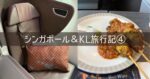 シンガポール＆クアラルンプール 旅行記 2026年3月④ 1日目 仁川→チャンギ シンガポール航空 SQ601