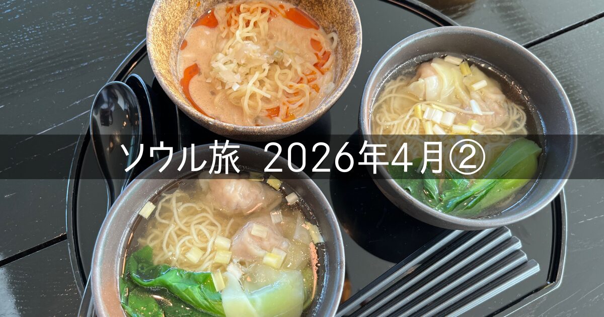 韓国 ソウル 旅行記 2026年4月② キャセイラウンジ JL091 気候同行カードの購入方法が分からない
